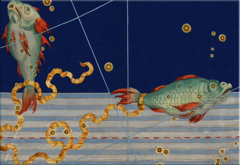 Horoskop | Fische