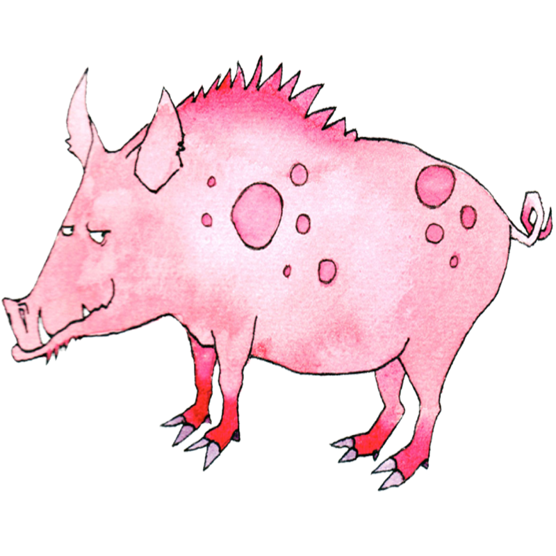 Chinese Zodiac Astrology | Zodiac Animal Sign The Pig